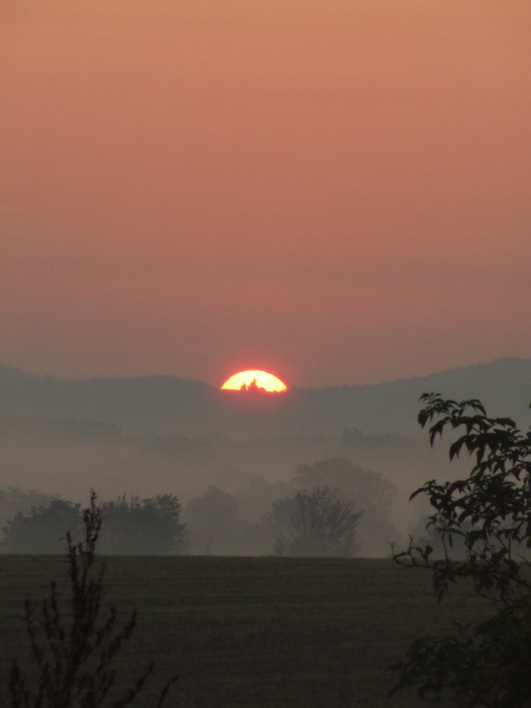 Napfelkelte Tapolca határában